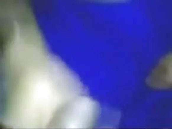 ഇന്ത്യൻ നായിക സെക്‌സി സിനിമാ ഭാര്യ.