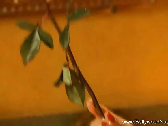 ഇംഗ്ലീഷ് ബ്ലൂ വീഡിയോയിൽ ഇന്ത്യൻ കാമുകൻ തനിച്ചാകുന്നു