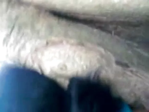 ഇന്ത്യ ആൻ്റി ഹിന്ദി എച്ച്ഡി സെക്‌സി ഫിലിം 1335