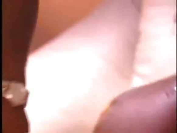 പൂച്ച വഴക്കുകൾ