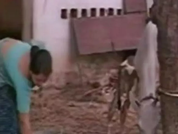 ഇന്ത്യൻ മൊബൈൽ സിനിമയിലെ ദേവിക എച്ച്ഡി ഹിന്ദി സെക്‌സി സിനിമ